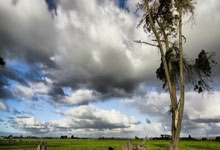 租借之路突遭曼联“拦截”！20岁梅努为世界杯的豪赌，遇上最糟时机