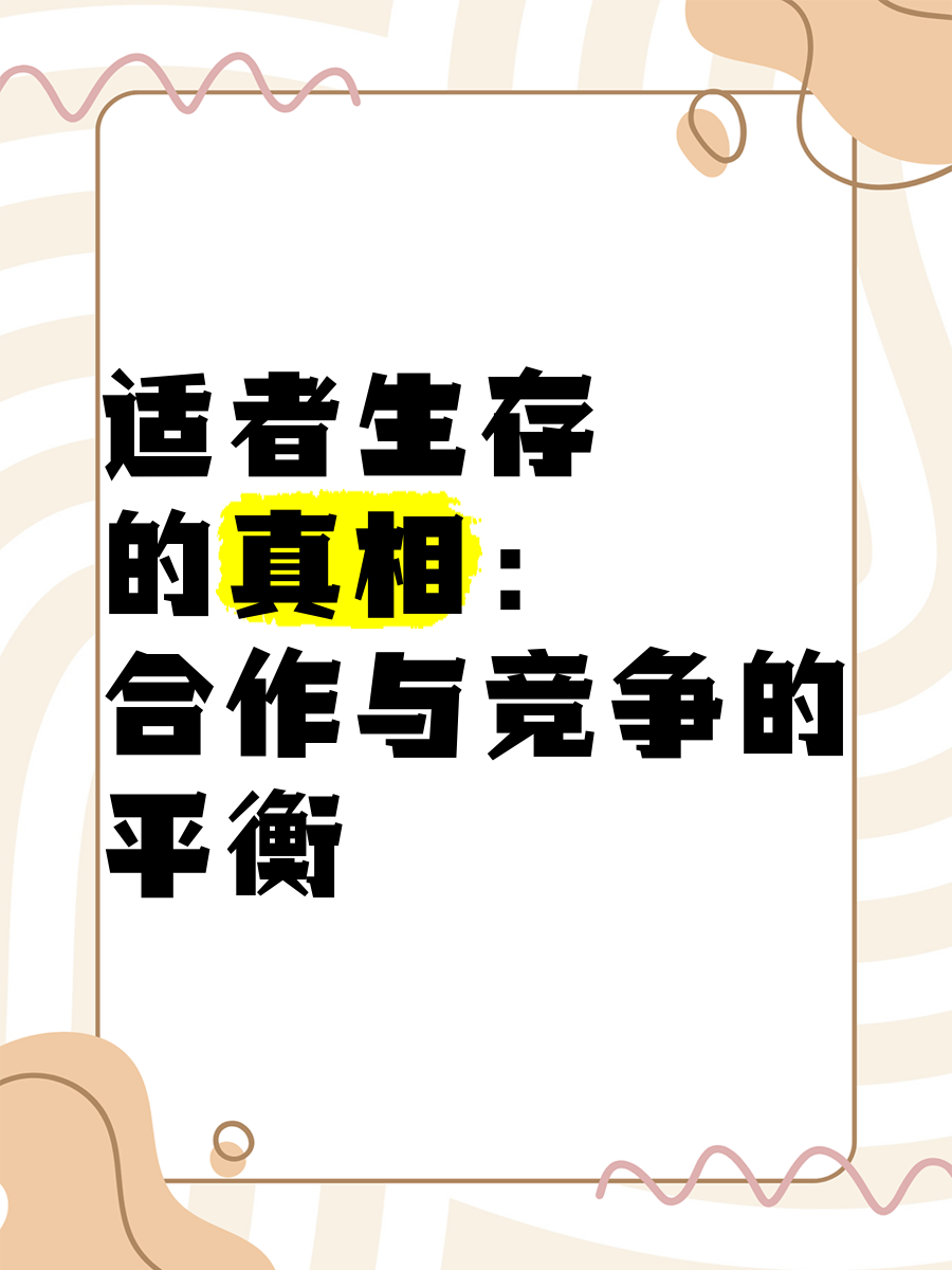 土超强队联手发威，领先其他竞争者一步的简单介绍
