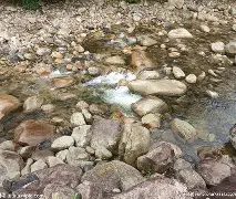 中欧体育官网-河床多线作战阵容调整，保证体能充沛