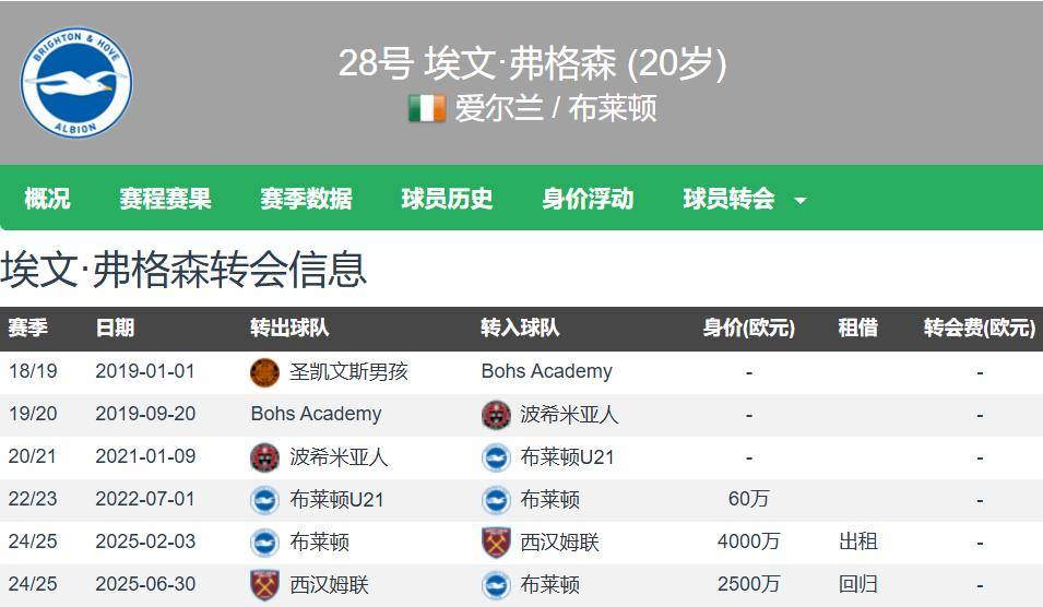 关于20岁爱尔兰天才前锋加盟罗马：弗格森能否在意甲重生？的信息